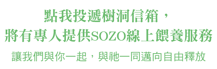 SOZO-中標6